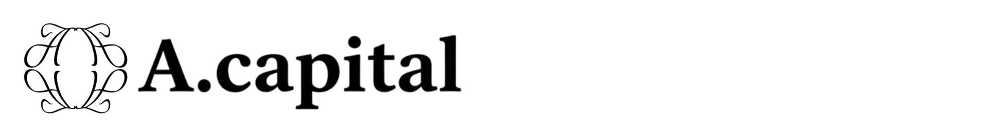 A.capital / エーキャピタル合同会社